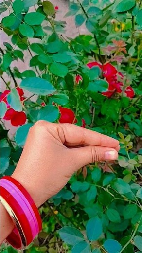 abba dabba jabba 😂😁 #comedy #funny