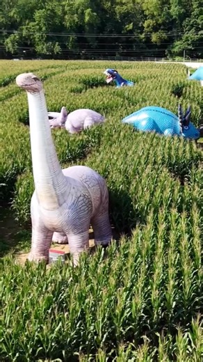 29 reactions · 381 comments | All Aboard for a Prehistoric Adventure!...