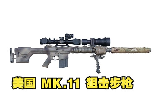 特种部队专用步枪 美国KAC Mk.11 Mod 0 7.62mm半自动狙击步枪
