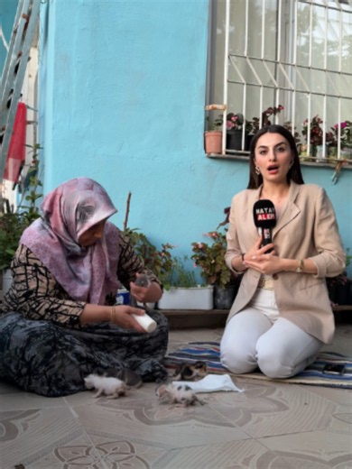 Hatay'da anneleri ölen 5 yavru kedi, duyarlı bir vatandaşın şefkatiyle hayata tutunmaya çalışıyor. Günlerdir yavru kedilerin bakımını üstlenen Fatma Hanım, minik dostlarını bir an olsun yalnız bırakmıyor.Yavruları elleriyle beslediğini belirten Fatma Hanım,