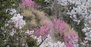 Video by Akira Ito on Pexels