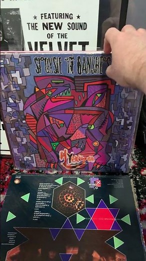 Siouxsie & the Banshees - Every Studio Album Vinyl Flipthrough #vinyl #siouxsieandthebanshees