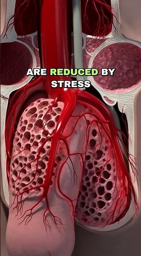 The REAL Science Behind Stronger Erections