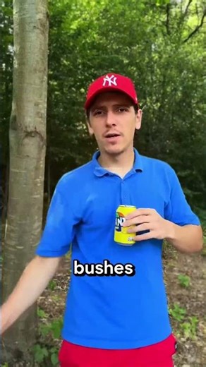 Never Enter Forest Without This Trick