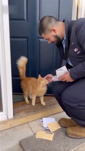 The Mailman's favorite delivery! 🐾🥺#shorts