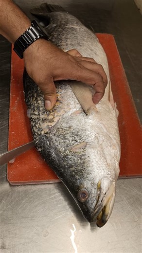 Chandan Pramanik on Instagram: "Easy way to do this boneless Fish . . . . #foodie #fish #seafood"