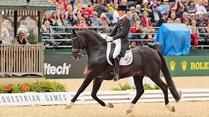 ‘A wonder horse who changed dressage’: top riders’ tributes to Totilas