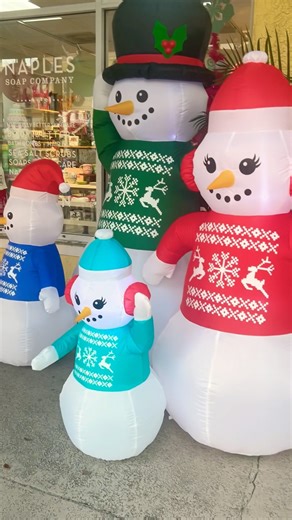 The Holiday Season In Naples, Florida 🎁