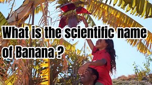 #agriculture #education | Agri facts daily