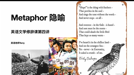 英语文学修辞课第四讲: Metaphor 隐喻-英语老师Terry-英语老师Terry-哔哩哔哩视频