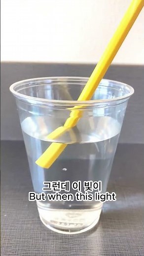 물컵 하나로 화살표가 반대로 바뀐다? | 집에서 하는 빛의 굴절 실험 #과학실험 #science #물소