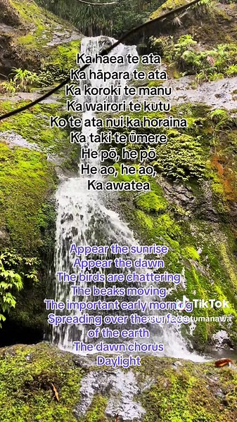A beautiful karakia timatanga to start your day with balance and intention ✨ Āio ki te aorangi #prayer #karakia #maori #maoritok #fyp #love #newearth #VoiceEffects