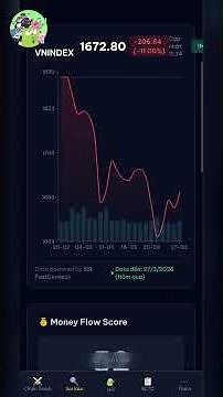 HOW TO ACCURATELY READ THE VN-INDEX PULSE?