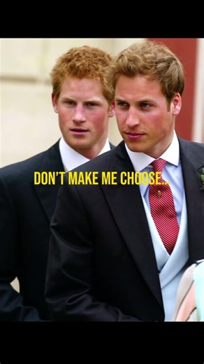 “Go on William, make the girls scream”-Harry #edit #fyp #royal #princeharry #princewilliam #thecrown