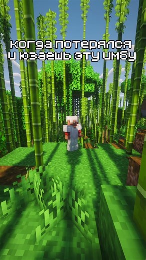 Ванильный сервер VanillaFox-ссылка в профиле#Minecraft #vanillana#майнкраф #сервер#ваниламайнкрафт