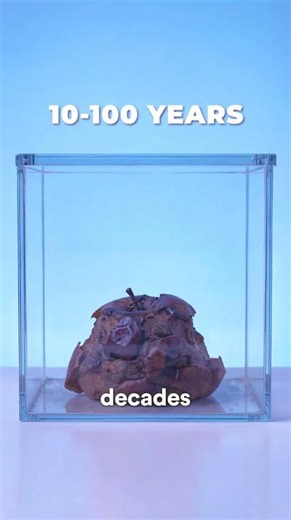 Apple In A Box Theory 😨