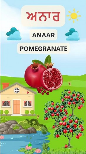 Learn Fruit names in Punjabi | Punjabi Vocabulary for Beginners