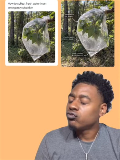 A Tree Can FILTER Your Water?! 🌳💧 Rumor says this is how you collect FRESH water in an emergency — bag on the branch, sun warms the leaves, condensation forms and the water collects at the bottom 😳 Rain water will hurt you — you gotta let the TREE be the filter, like the one your mom buys for the sink! Would YOU drink tree water to survive? Text your mom this More laughs the Hub 👉 nino-verse.space #Water #Survival #LifeHack #YssnNino #NinoVerse
