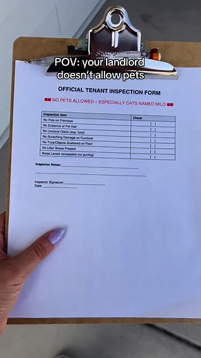 274K views · 14K reactions | Definitely crazy  #cat #cats #catsofinstagram #catlover #funnycat #catowner #catlovers #pets | Jared Braden | Facebook