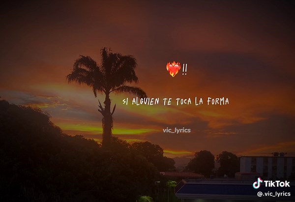 Movida Musical on TikTok