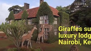 71K views · 189K shares | You could eat with the tallest mammals in the world at Giraffe Manor. Special thanks to thesafaricollection.com. | Insider | Facebook