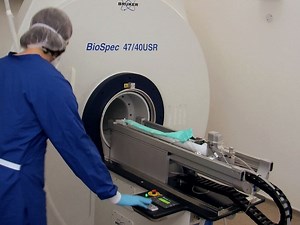 MRI and PET in Mouse Models of Myocardial Infarction