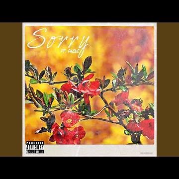 Sorry (feat. Fazle)