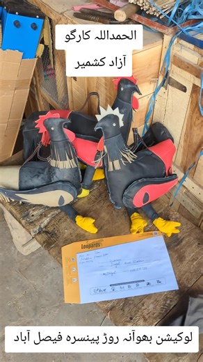 Dummy Murga Ek Shok Murga Bazi Da Aseel Accessories Aseel lover Murga Shokeen #foryou #trending #aseelmurga #aseellovers #for @🅰🅼🅸🆁😈 @ʙ➋ᴋ ᭄حسن༒︎☠️ @🥂نواب👀