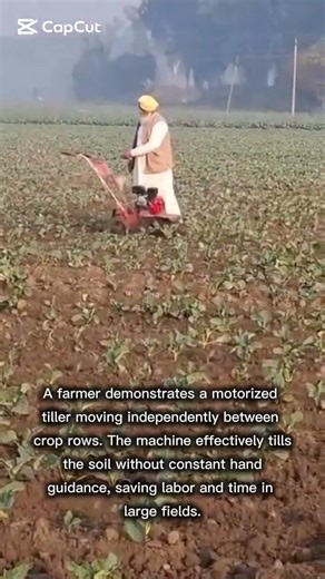 Self-Propelled Motorized Tiller Weeding
