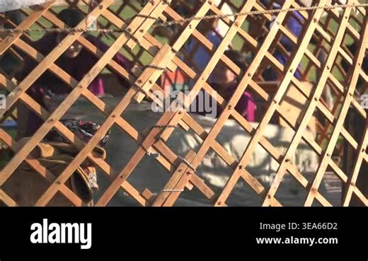 Mongolian families build a ger on open grassland during seasonal settlement. Felt tent assembly, shared labor, and wooden structure reveal everyday nomad life. mongolia, ger, nomad, family, grassland, yurt Stock Video Footage - Alamy