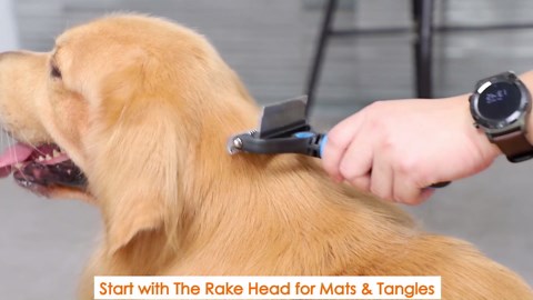 MalsiPree Dog Brush for Shedding - Large, Blue, 2-in-1 - Deshedding Dog Grooming Brush & Undercoat Rake with Dematting Comb for medium to Large Double Coated