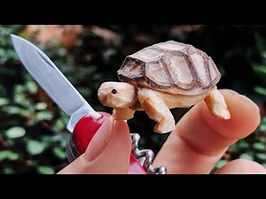 Whittle a 1x1 Tortoise | Step-By-Step Beginner Tutorial