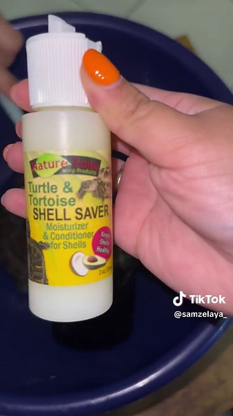 Red Eared Slider Turtle Shell Care Routine