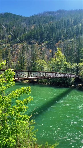 Exploring the Trail of Cedars in Washington