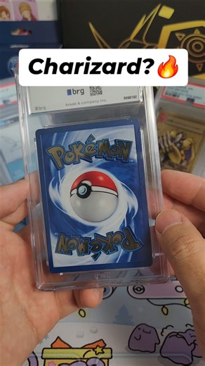 🔥Charizard🔥 #pokemoncards #pokemontcg #charizard
