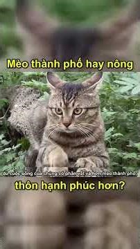 Little-known facts about city cats and country cats.