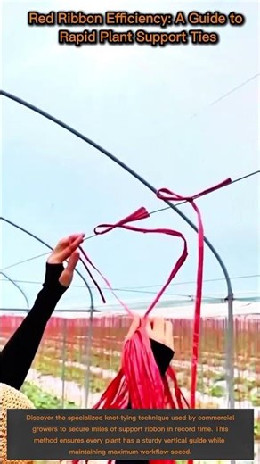 Red Ribbon Efficiency: A Guide to Rapid Plant Support Ties