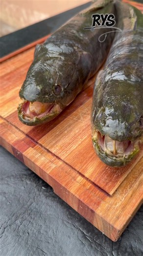 Tarucha Dorada a la Plancha: Receta Mediterránea con Ajo y Limón