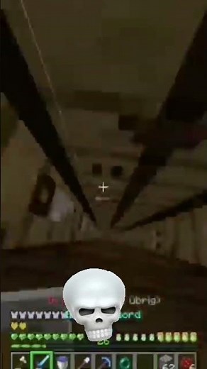 Chaosflo44 killt Platin mit void fall in Minecraft helden