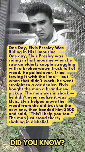 One Day, Elvis Presley Was Riding in His Limousine