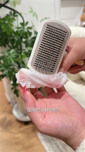 养猫好物,换个思路怒省好几百! #养宠小妙招 #日常生活 #铲屎官日记 #养猫人