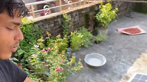 12-volt lithium-ion battery and Solar charge controller testing And Review 2023. To Know more: https://www.loomsolar.com/ #lithiumbattery #12Voltbattay #lithiumion #solarpanel #unboxing #review #solarenergy #soarpower #solarinverter #loomsolar | Loom Solar | Facebook