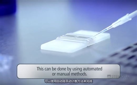 如何进行人造血集落形成单位 (CFU) 检测