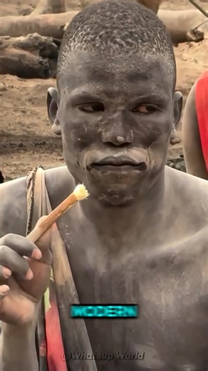 7,000-Year-Old Toothbrush. | Whatsup World