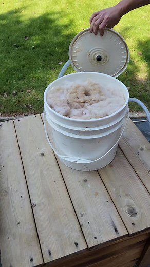 DIY Backyard Pool Filter for Clean Well Water