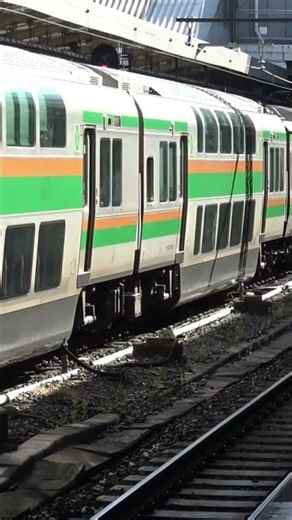 Takasaki Line Inbound Train Arriving at Ueno Station on a Spring Holiday