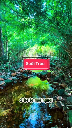 Khám Phá Suối Trúc: Điểm Picnic Tuyệt Vời ở Bình Dương
