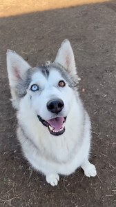 3.3K views · 102 reactions | EVEREST with Denise Lynn Smith! *NEEDS...