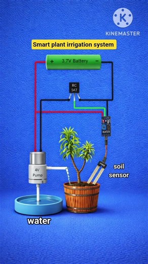 How to Make an Automatic Plant Watering System at Home (Easy DIY) #shorts