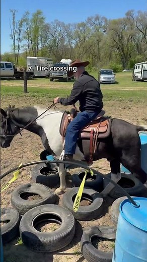 Horse Obstacle Training with Mounted Police #horsetraining #horseriding #policehorse #horses